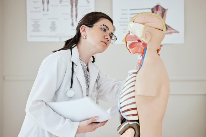 Curso de Extensão em Anatomia E Fisiologia Humanas: Aprofundamento Teórico e Prático