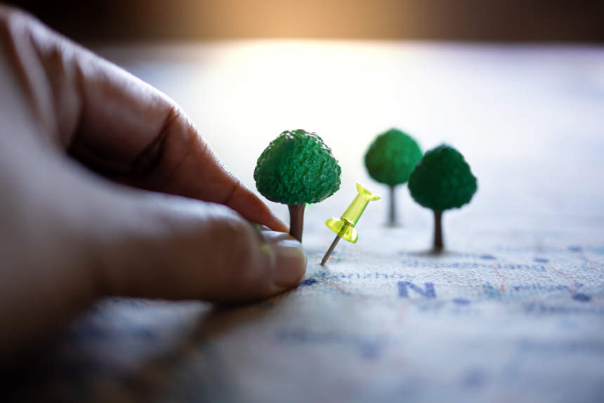 Planejamento e Desenvolvimento Sustentável