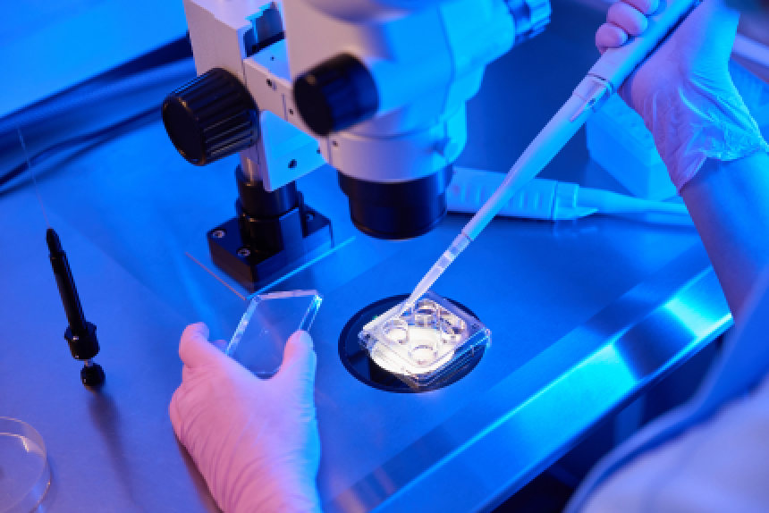 Curso de Extensão em Biologia Celular: Aprofundamento Teórico e Prático