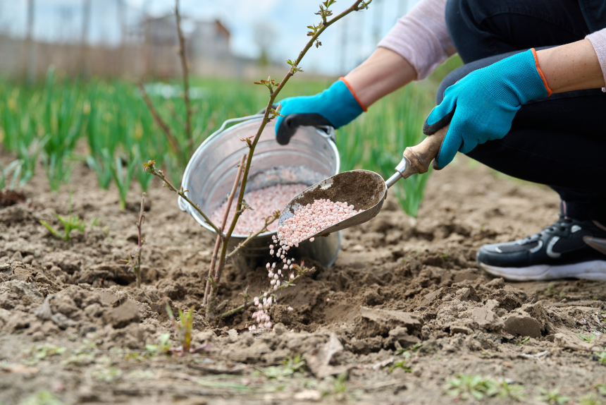Curso de Extensão em Recuperacao De Areas Degradadas: Aprofundamento Teórico e Prático