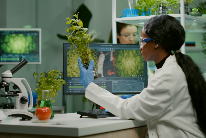 Curso de Extensão em Morfofisiologia Vegetal: Aprofundamento Teórico e Prático