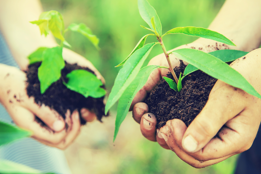 Curso de Extensão em Principios Da Educacao Ambiental: Aprofundamento Teórico e Prático