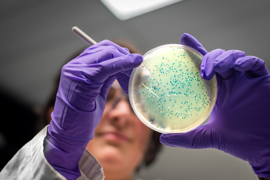 Curso de Extensão em Biologia Parasitaria: Aprofundamento Teórico e Prático