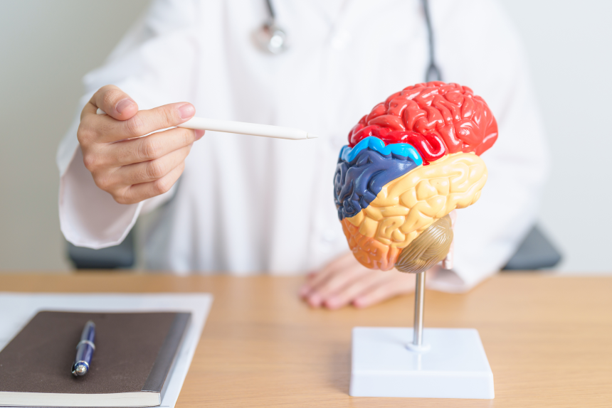 Curso de Extensão em Neurociencia E Aprendizagem: Aprofundamento Teórico e Prático